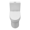 cUPC North American Style Modern Design Floor Ceramic Elongated Toilet